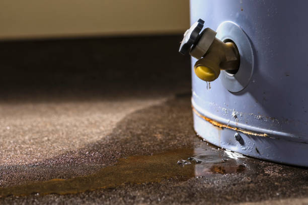 Best Emergency water damage restoration  in Frankfort, OH