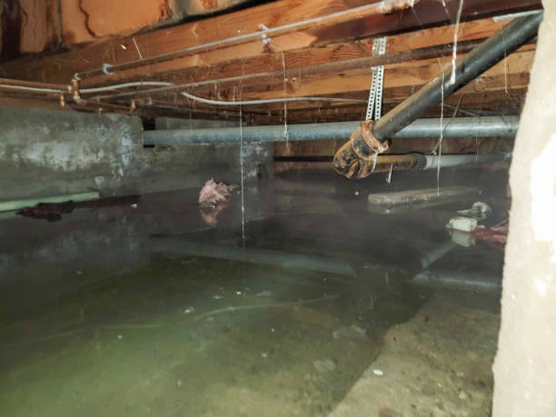 Water damage restoration insurance claims in OH