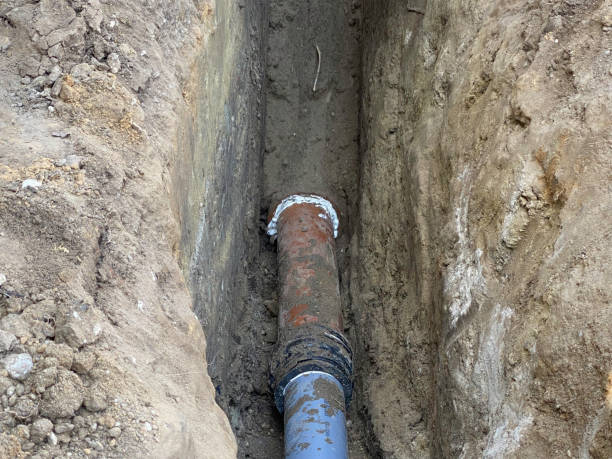 Best Basement water damage restoration  in Frankfort, OH