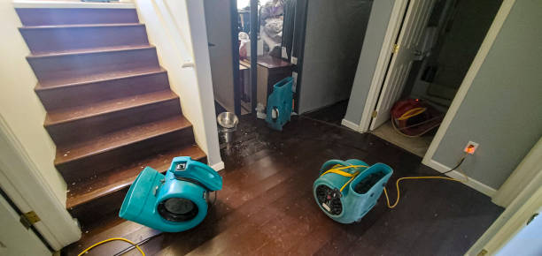 Best Professional water damage repair  in Frankfort, OH