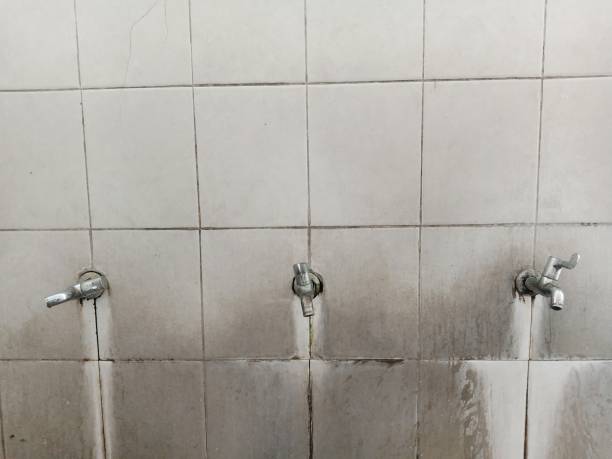 Best Flood restoration services  in Frankfort, OH