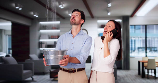 Best Water damage restoration services  in Frankfort, OH