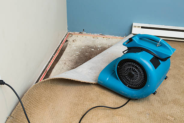 Best Flooded house restoration  in Frankfort, OH